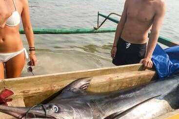 Отель Panorama Backpackers