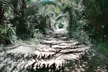 فندق Afro Beach Eco Resort Butre