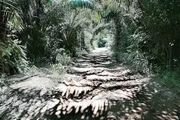 Hotelli Afro Beach Eco Resort Butre