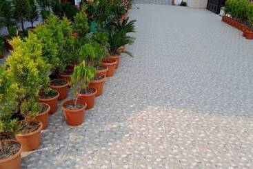 Hotel Dayal International