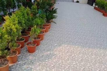 Hotelli Dayal International