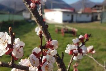 پانسیون Casa Mary Mar