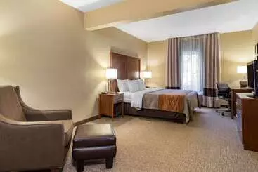 Отель Comfort Inn & Suites Suwanee  Sugarloaf