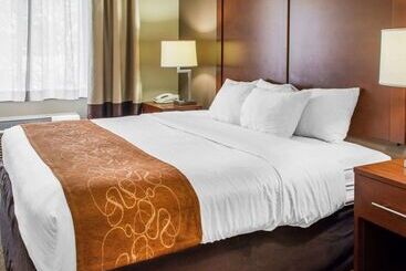 酒店 Quality Suites