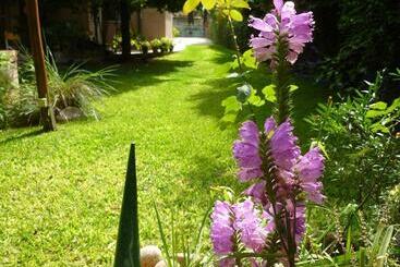 פנסיון Lo De La Omi