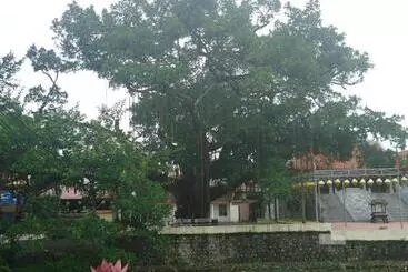 Bed and Breakfast Green Space Homestay