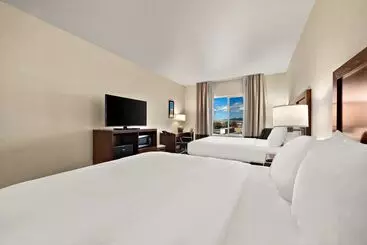 Otel Comfort Inn & Suites Airport Convention Center