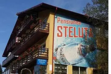Pensiunea Steluta