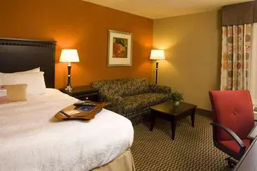 Отель Hampton Inn Asheville - I-26 Biltmore Square