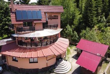 펜션 Perla Sarisorului