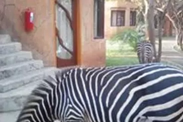 استراحتگاه Kaazmein Lodge