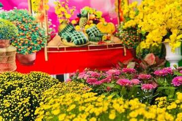 هتل Lime Hostel   Ninh Kieu Center