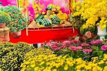 هتل Lime Hostel   Ninh Kieu Center