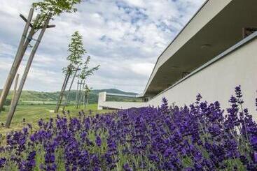 פנסיון Henye Vendégház