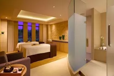 Hôtel Hyatt Regency Dongguan