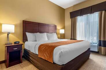 فندق Comfort Suites Airport South