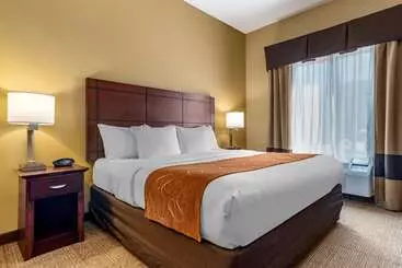 酒店 Comfort Suites Airport South