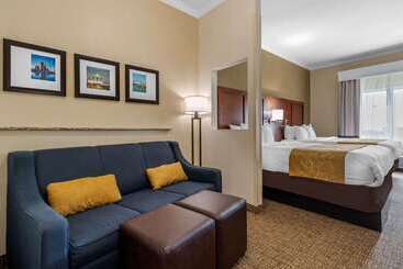 ホテル Comfort Suites Central