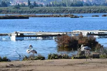 ホテル Villaggio Porto Corallo