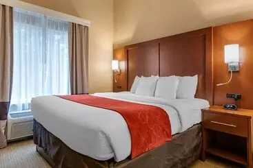 فندق Comfort Suites Orlando Airport