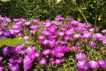 مبيت وإفطار Casa Arge