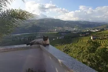 ベッドアンドブレックファースト Golden Mirror