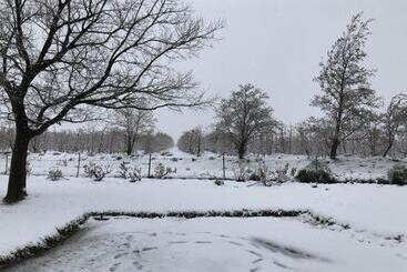 فندق Boplaas Guesthouse