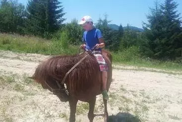 Alberg Eco Resort Nad Karpatamy