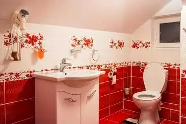 Aamiaismajoitus (B&B) Pensiunea Silvanka