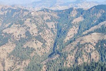 Fortune Park Kufri, Shimla   Member Itc S Hotel Group