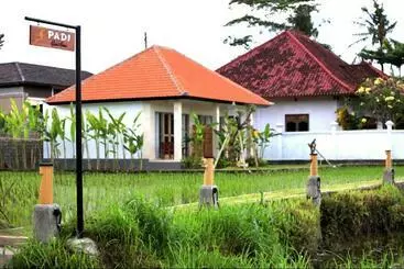 Pensiune Padi Guest House