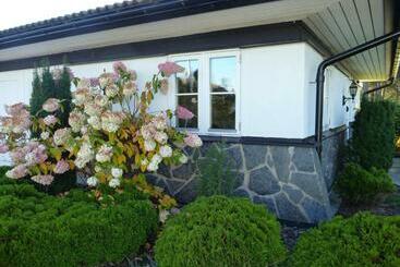 פנסיון Hammaröstugan