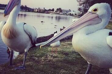 Churchill S B&b Twin Spa Getaway Studio