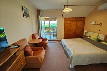 Pensjonat Viola House