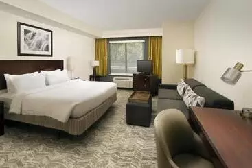 Hotel Springhill Suites By Marriott Jacksonville North I 95 Area