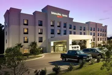 ホテル Springhill Suites By Marriott Jacksonville North I 95 Area