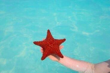 ホテル Villa Renaissance