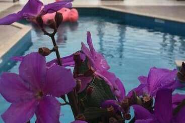 酒店 Pousada Palmeiras