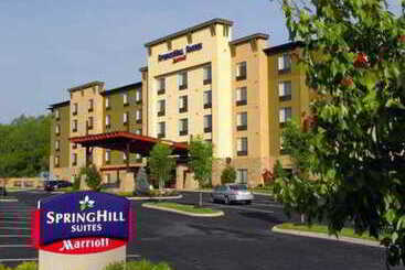 فندق Springhill Suites Pigeon Forge