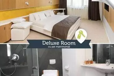 Otel Pensiunea Art 1000