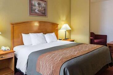 Hotel Comfort Inn & Suites Chesapeake  Portsmouth