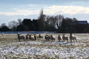 مبيت وإفطار Marston Hall
