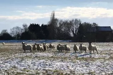 Bed and Breakfast Marston Hall