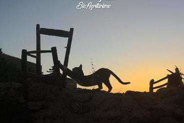 شقة Agriturismo Case Don Ignazio