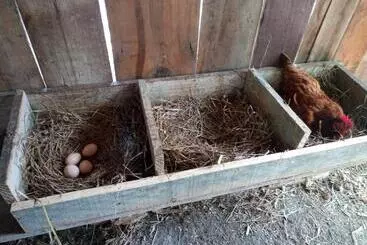 ペンション Sítio Vô Inácio   Casa Inteira