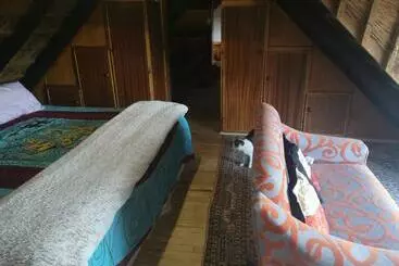Chilli Moon B&b