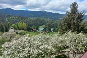 پانسیون Casa De Vacanță Perla Colibitei