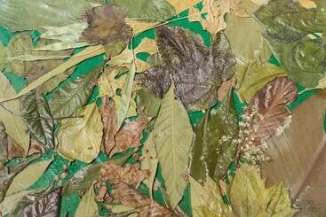 펜션 Opera Suites   Il Sentiero Della Felicità