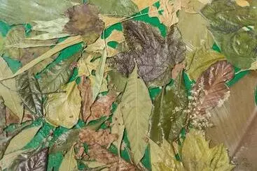 Pension Opera Suites Il Sentiero Della Felicità