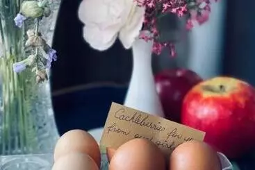 Aamiaismajoitus (B&B) The Old Chaff Mill Organic Vineyard Retreat